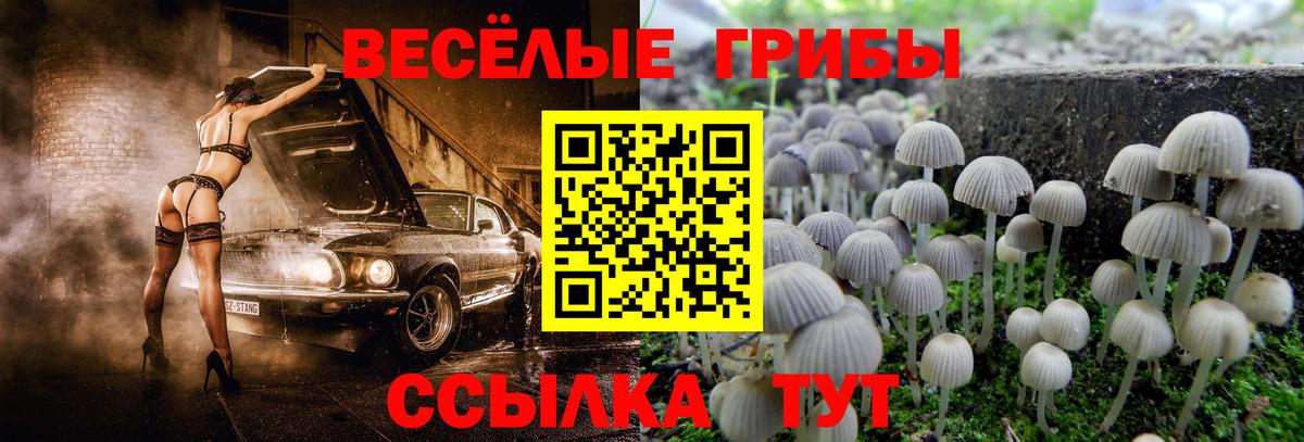 Псилоцибиновые грибы Psilocybe  Вход с VPN  цены   Усинск 