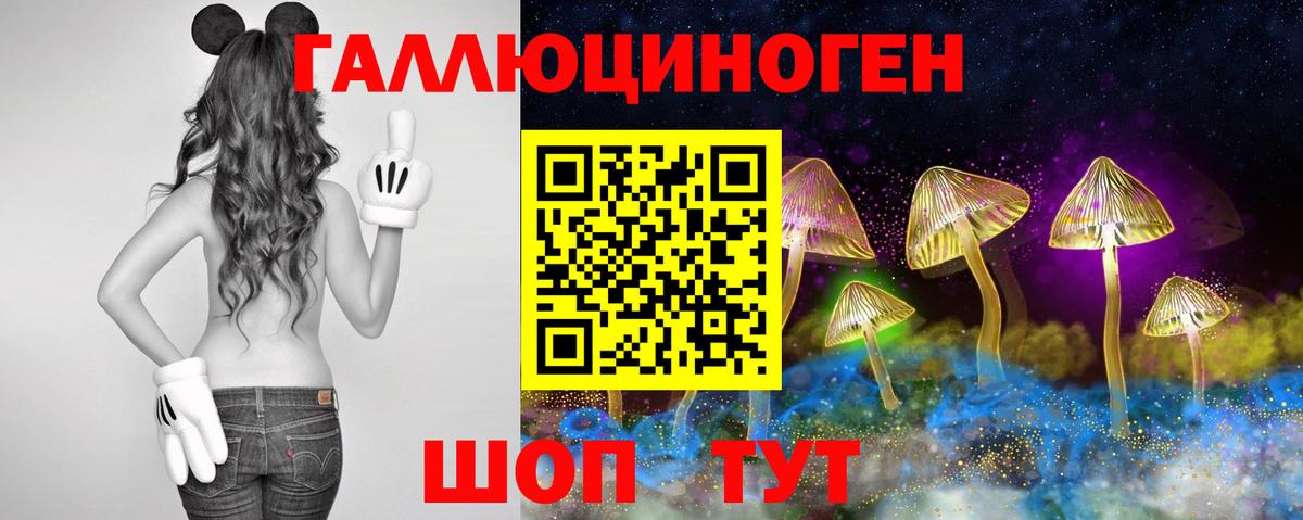 Псилоцибиновые грибы Cubensis Усинск